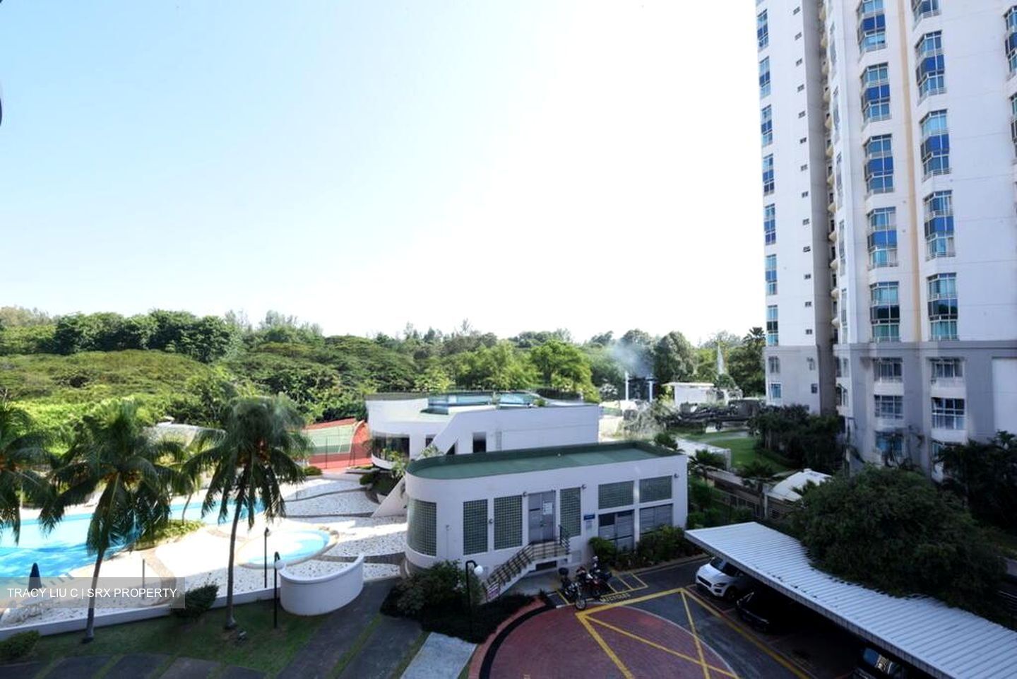 Hawaii Tower (D15), Condominium #497714241